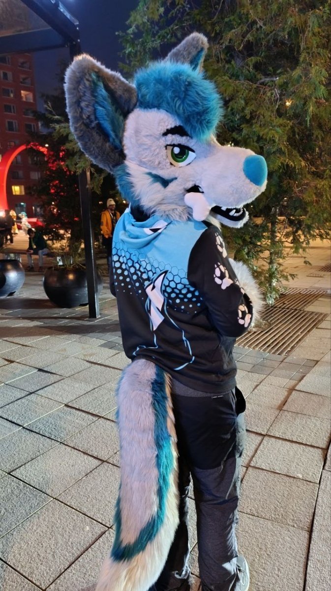 Zip Hoodie - Fox Division