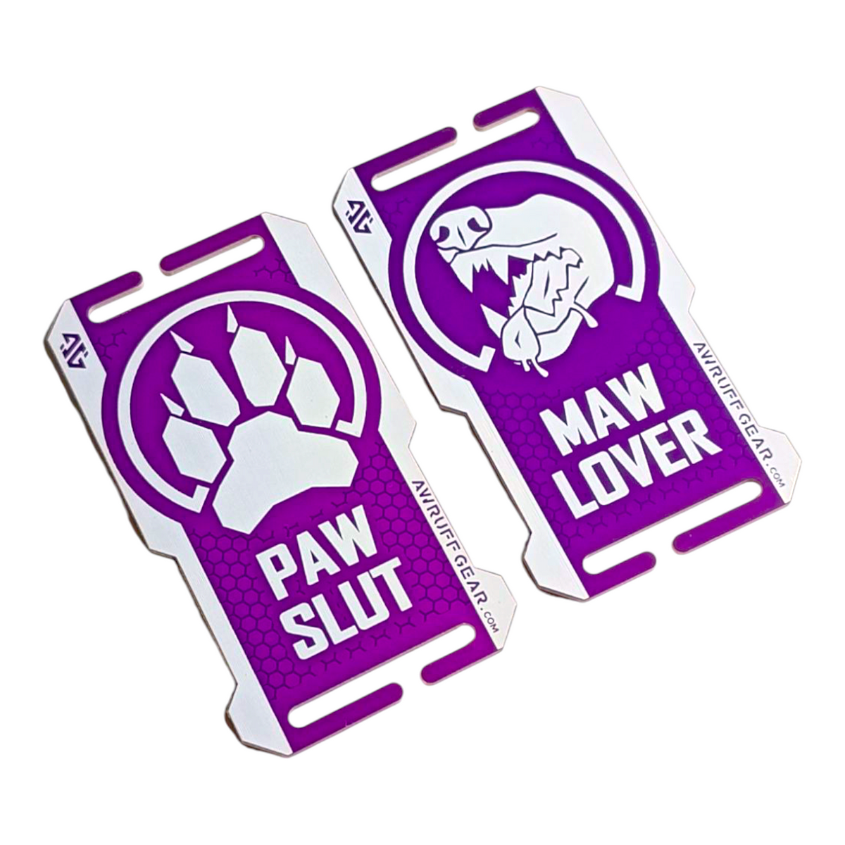 Panel Tag - Consent