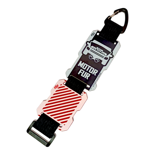 Panel Tag - Consent