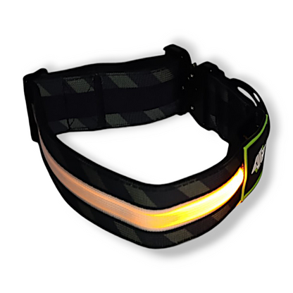 LED Glow-Up Tactical Padded Collar