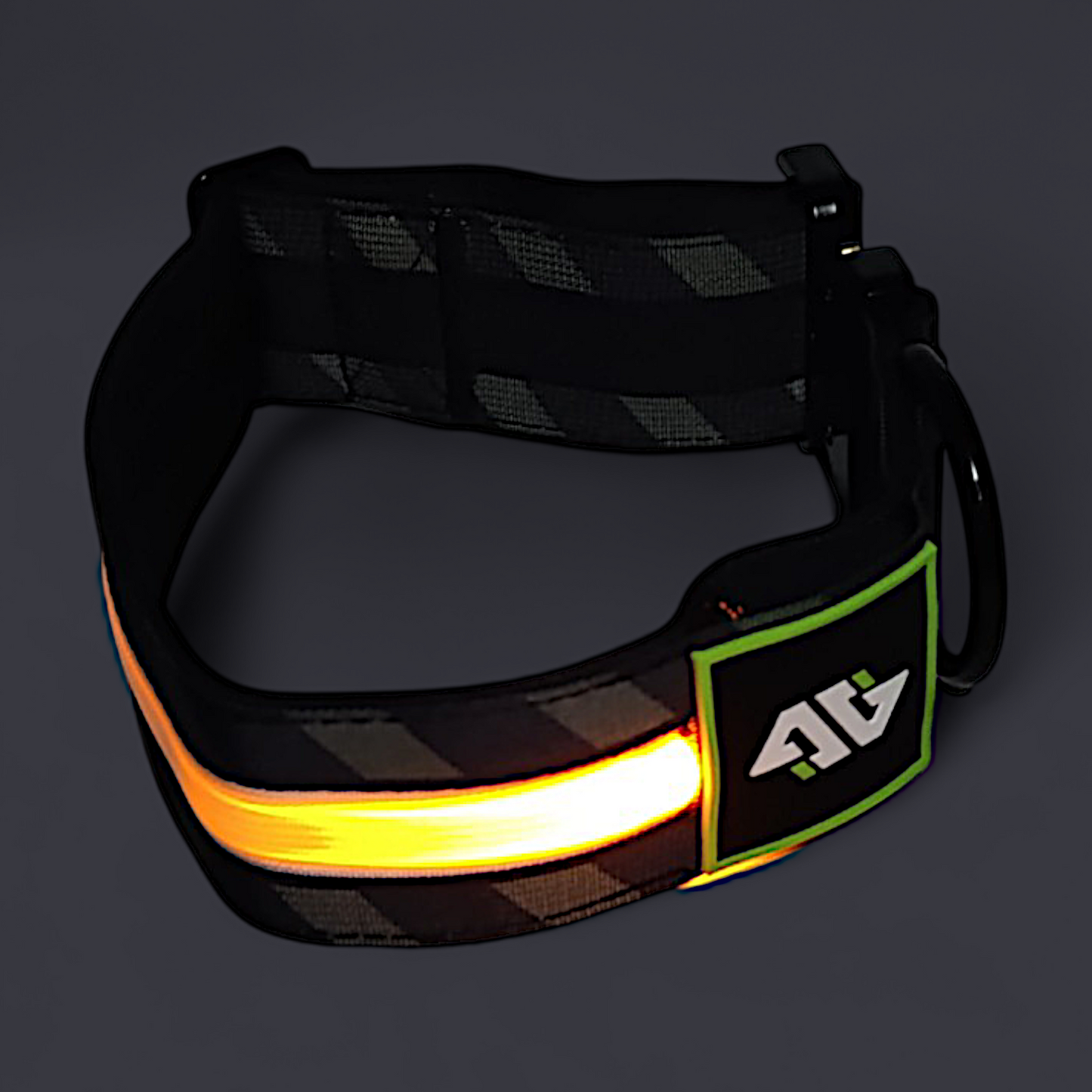 LED Glow-Up Tactical Padded Collar